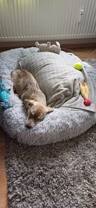 Hundebett Ceddie · flauschiges Hundekörbchen rund · dunkelgrau · ca. Ø 80 cm Kunden-Foto 1