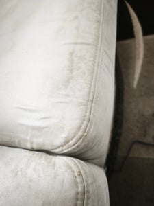 Olvy Teppichreiniger Waschsauger 17.000 PA – Leistungsstarker Nasssauger Polsterreiniger für Sofa, Auto & Teppich inkl. Zubehör & Reinigungsmittel Kunden-Foto 20