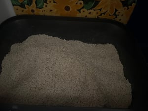 TopMeow Tofu Katzenstreu 18,4 kg, 100% pflanzlich, 3-Sekunden Schnellklumpen, staubarm & starke Geruchsbindung, Hohe Saugfähigkeit Klumpstreu Kunden-Foto 1