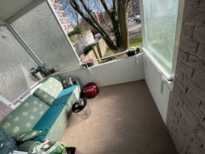 Rasenteppich Farbwunder Pro auf Maß Grün 200x300 cm Kunden-Foto 1