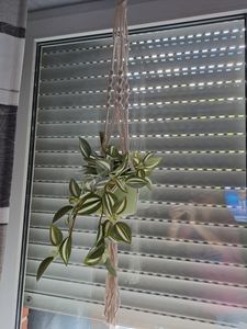 2 Stück Blumenampeln, Makramee Blumenampel Baumwollseil Hängeampel Pflanzenaufhänger Pflanzhänger für Innen Außen Decken Balkone Wanddekoration Kunden-Foto 1