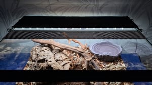 Repti-Zoo LED-Lampe für das Terrarium Repti-Zoo Kunden-Foto 1