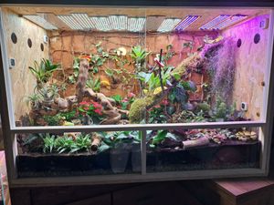 OSB Terrarium, Holzterrarium 120x60x80 cm mit Seitenbelüftung Kunden-Foto 1