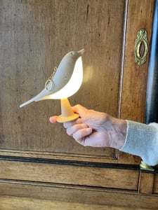 15cm Braun Vogel LED Nachtlicht USB LED Schreibtischlampe Schlafzimmer Nachttischlampe Touch-Atmosphäre-Tischlampe Kunden-Foto 1