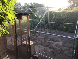 TolleTour Enclos Poulailler 3 x 4 x 2 m Outdoor Poulailler Toit Poulailler, Acier galvanisé Enclos pour petits animaux Enclos libre avec protection solaire Cage à poules Volière,PE Photo du client 1