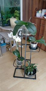 Korrosionsbeständiger Etagen-Pflanzenständer, platzsparender Blumenständer in Dunkelgrau, lackiert - POTSTAGE Kunden-Foto 1