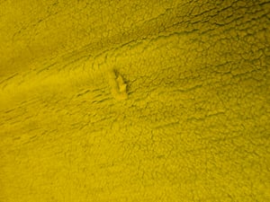 Minky Sherpa jahňacia Umelá kožušina zelená 50x160 cm Fotografia od zákazníka č. 3