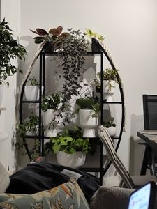 Tribesigns Blumenständer, 2 Stück Pflanzenregal mit 5 Ebenen und 2 Haken, 160cm Hoch Pflanzenständer Metall Blumenregal für Indoor Balkon(Mattschwarz) Kunden-Foto 12