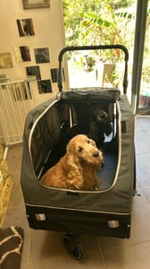 Doggyhut S-Line XXL remorque pour chien & buggy pour chien avec suspension 2 en 1 remorque de vélo pour chien Jogger à suspension jusqu'à 45 kg Photo du client 9