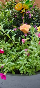 Bienen Trinkstation 4er Set, handgemachte Keramik Blumen Vogeltränke, wetterfest für Garten & Balkon, Insekten Tränke für Bienen & Schmetterlinge-Y Kunden-Foto 1