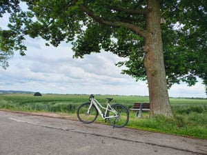 Prophete Urbanicer 2.0 Urban E-Bike 28 Zoll - 360 Wh - Integrierter Akku - Heckmotor - 9-Gang Kettenschaltung - HDY. Scheibenbremse - Rahmenhöhe 48 cm Kunden-Foto 1