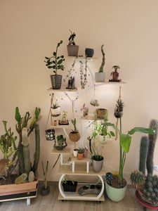 Blumenständer mit Wachstumslicht, 8 Ebenen Blumentreppen, 4 Räder，122cm/126.5cm Hoch Pflanzenständer Metall Blumenregal für Indoor Balkon,Weiß Kunden-Foto 9