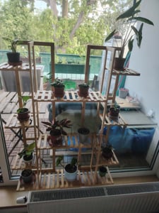 WISFOR Blumentreppe Bambus Blumenständer mit 4 Ablagen Holzregal Blumenregal Blumentopf Ständer Deko Garten Balkon Kunden-Foto 3