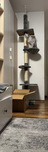 Sofort von den Katzen akzeptiert!