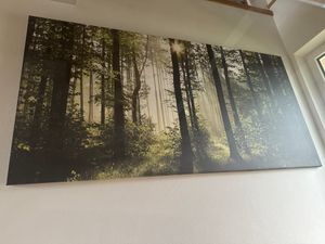 Murale mega XXXL paesaggio 250x125 cm pezzo unico formato XXL stampa d'arte per auto-assemblaggio tela immagini moderne immagini fai da te decorazione murale casa decorazione montagne natura sole c-C-0428-ak-e Foto del cliente 1
