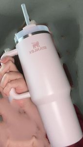 Stanley Quencher 