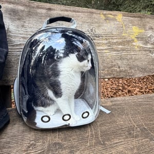 Tragerucksack für Katzen und Hunde, Haustier Rucksack bis 7 kg, Katzenrucksack, Hunderucksack, Reflektorstreifen, Tragetasche, Schwarz, Retoo Kunden-Foto 1