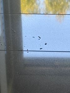 Hinterlässt Wasser-Pfützen auf dem Boden