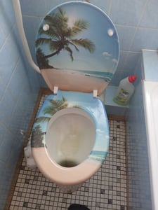 NAIZY Toilettensitz WC-Sitz mit Absenkautomatik, Soft-Close, Antibakteriell Funktion Klobrille #Strand Kunden-Foto 2