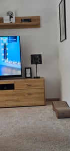 GTV - Tischleuchte FORESTO 4 , 6267, AC220-240V, 50/60Hz, 1*E27, max.40W, ø 22,5 cm, schwarz Kunden-Foto 1