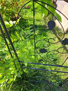 Unho, metalen rankrooster, set van 2, roestvrij staal, klimplantenondersteuning, 195 x 50 cm, trellis voor de tuin, tuinaccessoire, zwart Klantenfoto 2