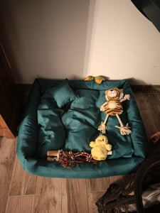 Hundebett NEO – Bequeme Hundeliege aus strapazierfähigem Stoff, langlebiges Hundekissen in hoher Qualität (XS - 55x45, Violett) Kunden-Foto 2