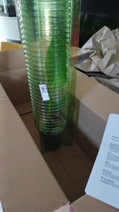 BALDUR Garten 1x Winterharte Banane 'grün', Pflanze im 12 cm-Topf, Faserbanane Bananenbaum Musa basjoo Bananenpflanze, mehrjährige winterharte Staude, Bananen-Früchte essbar Kunden-Foto 4