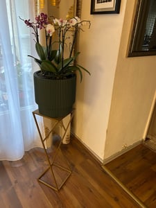 Kvetináč s vkladom MILLY DBML400 biely 39,1cm Fotografia od zákazníka č. 1