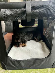 LOVPET® : Cage de transport pour chien, pliable. Inclut un bol pour chien, une sacoche de transport et une sacoche pour chien. Cage de transport pour animaux de compagnie, chiens et chats Photo du client 1