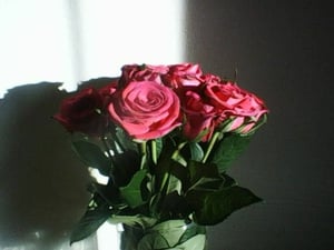 Grünpflanzendünger mit Spurenelemente, 1 l Kunden-Foto 1