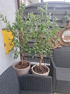 COSTWAY Zestaw 2 szt. sztucznych drzewek oliwnych, 150 cm, sztuczna roślina w doniczce, sztuczna roślina z pniem z PE, realistyczne owoce i liście, roślina doniczkowa Zdjęcie produktu od klienta nr 2