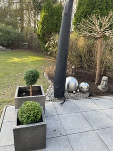 Echte Myrte Myrtus Pflanze 45cm Kunden-Foto 1