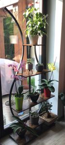 WISFOR Porte-fleurs, 2 étagères à plantes avec 6 niveaux/4 crochets, 136.5cm de haut Porte-plantes Étagère à fleurs pour balcon intérieur Escalier à fleurs salon Photo du client 10