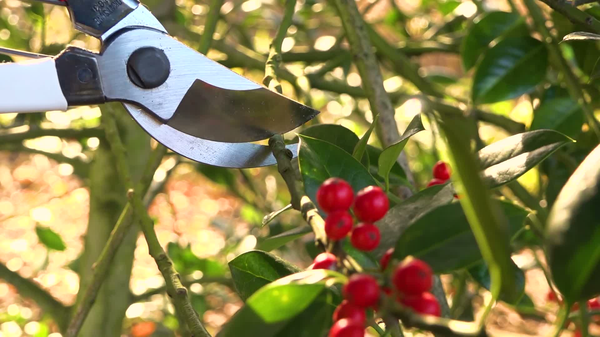 Okatsune – Japanische Gartenschere mit ultra-scharfen Produktbild-Vorschau 7