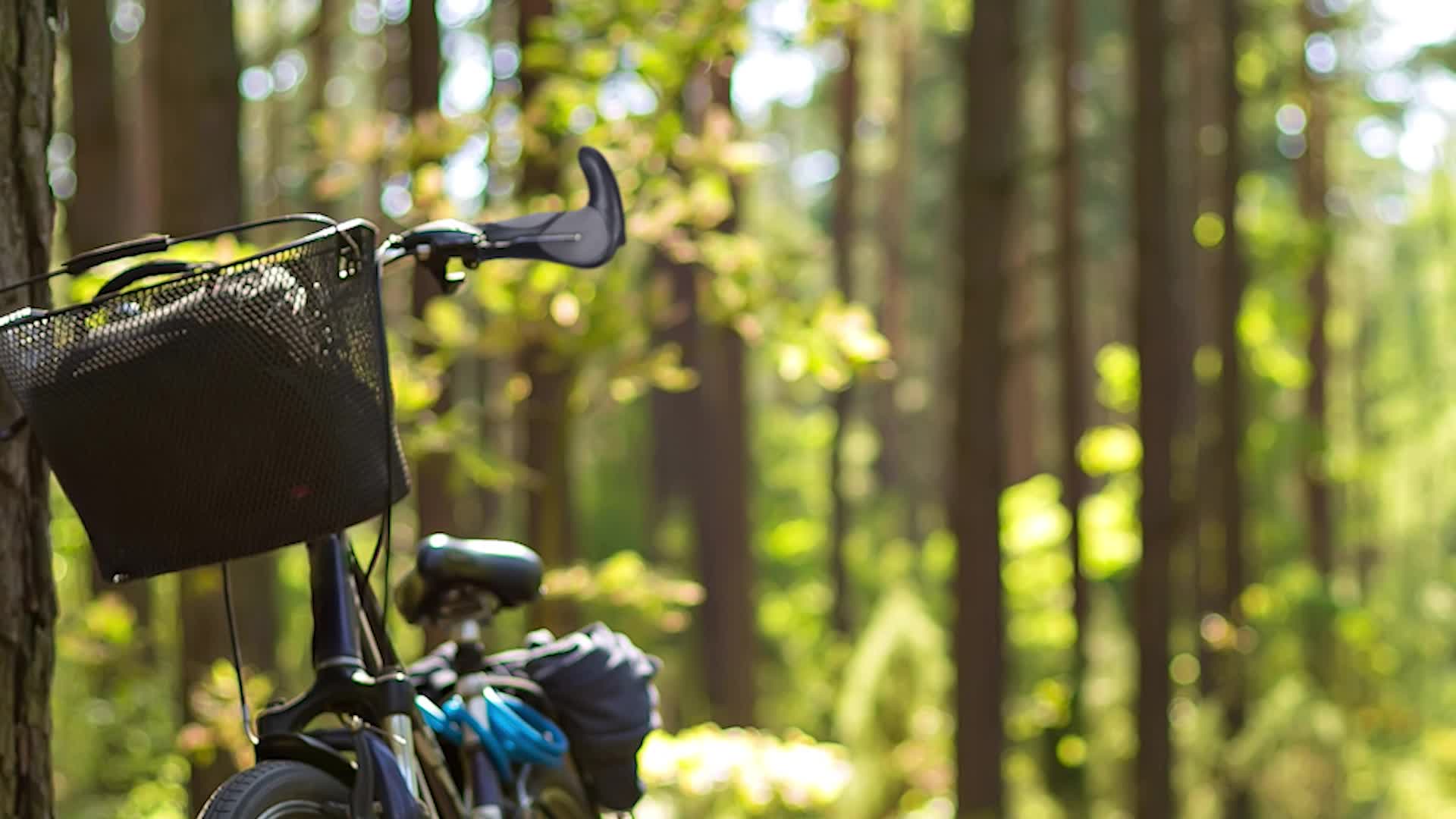 Relaxdays Fahrradgriffe, 1 Paar ergonomisch, Kunststoff & Produktbild-Vorschau 7