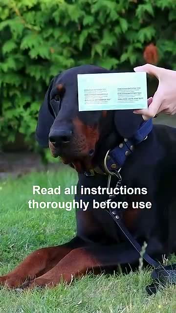 GetTested | Herzwurm-Test für Hunde | Ergebnis in 15 Produktbild-Vorschau 4