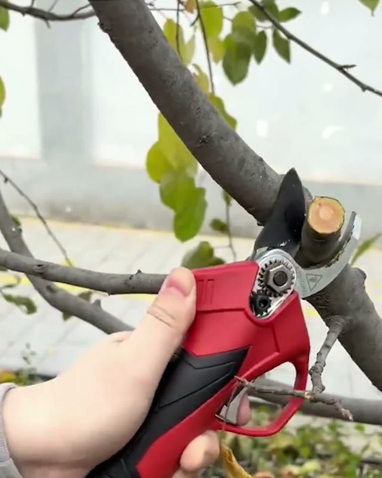 Elektrische Gartenschere – 1100g Leichtgewicht – Profi Produktbild-Vorschau 7