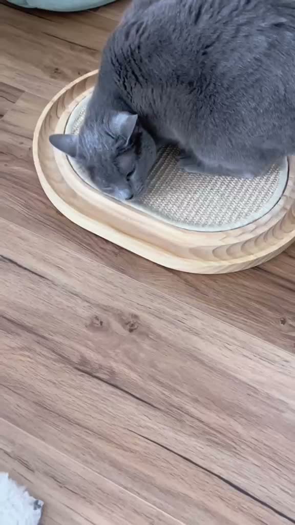 Sisal Kratzbrett Katzen, 2 in 1 katzenspielzeug, Produktbild-Vorschau 7