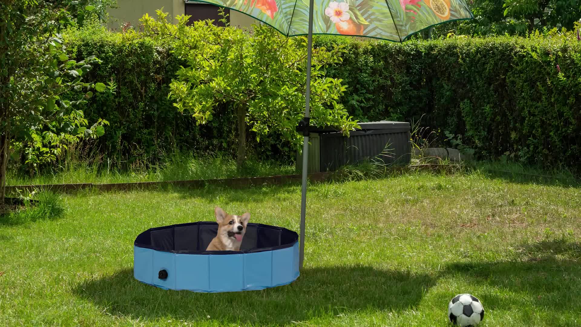 Relaxdays Hundepool, H x D: 20 x 80 cm, faltbar, mit Produktbild-Vorschau 7