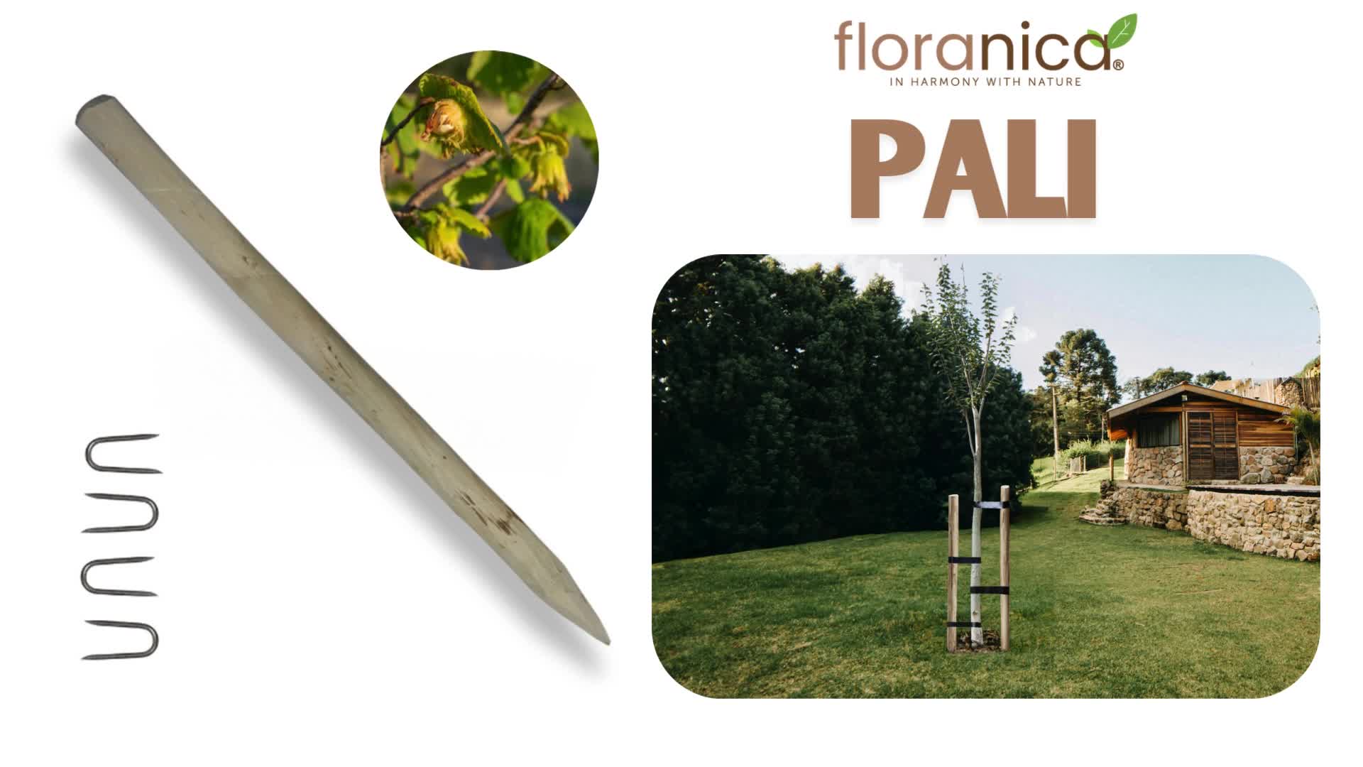 Floranica 6x palo per recinzione in nocciolo, altezza 150 Anteprima dell’immagine prodotto 2