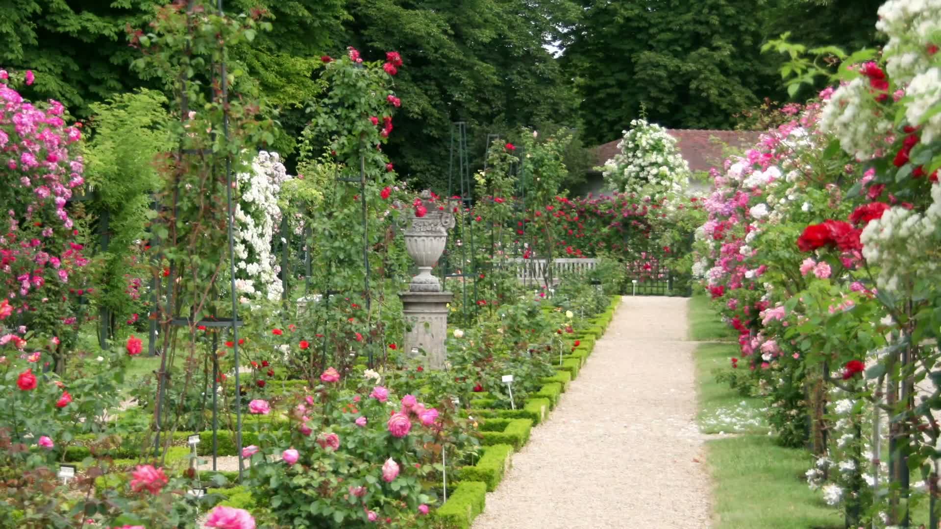 Relaxdays Rosenbogen, Metall, Torbogen Garten, HxBxT: 224 x Produktbild-Vorschau 7