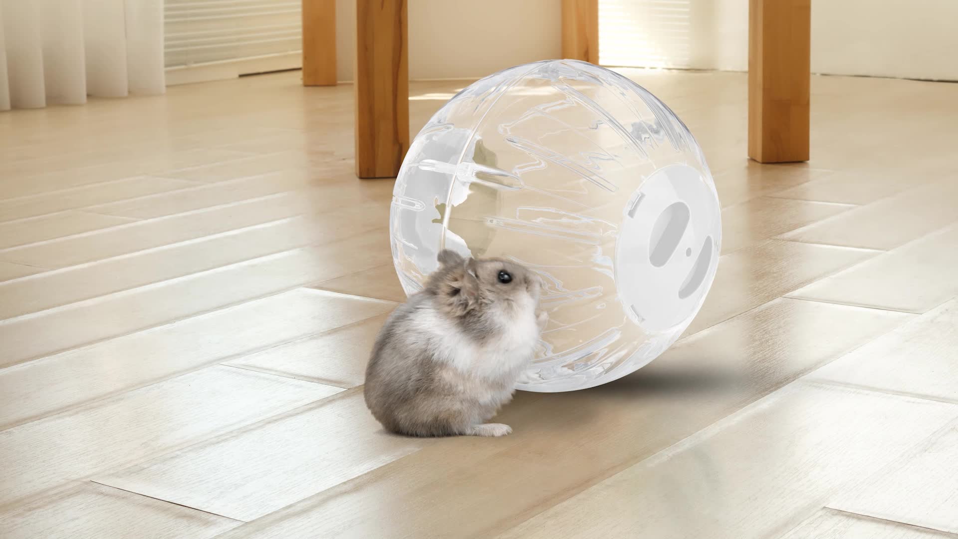 Relaxdays Hamsterball, Ø 18,5 cm, Laufkugel für Hamster & Produktbild-Vorschau 7