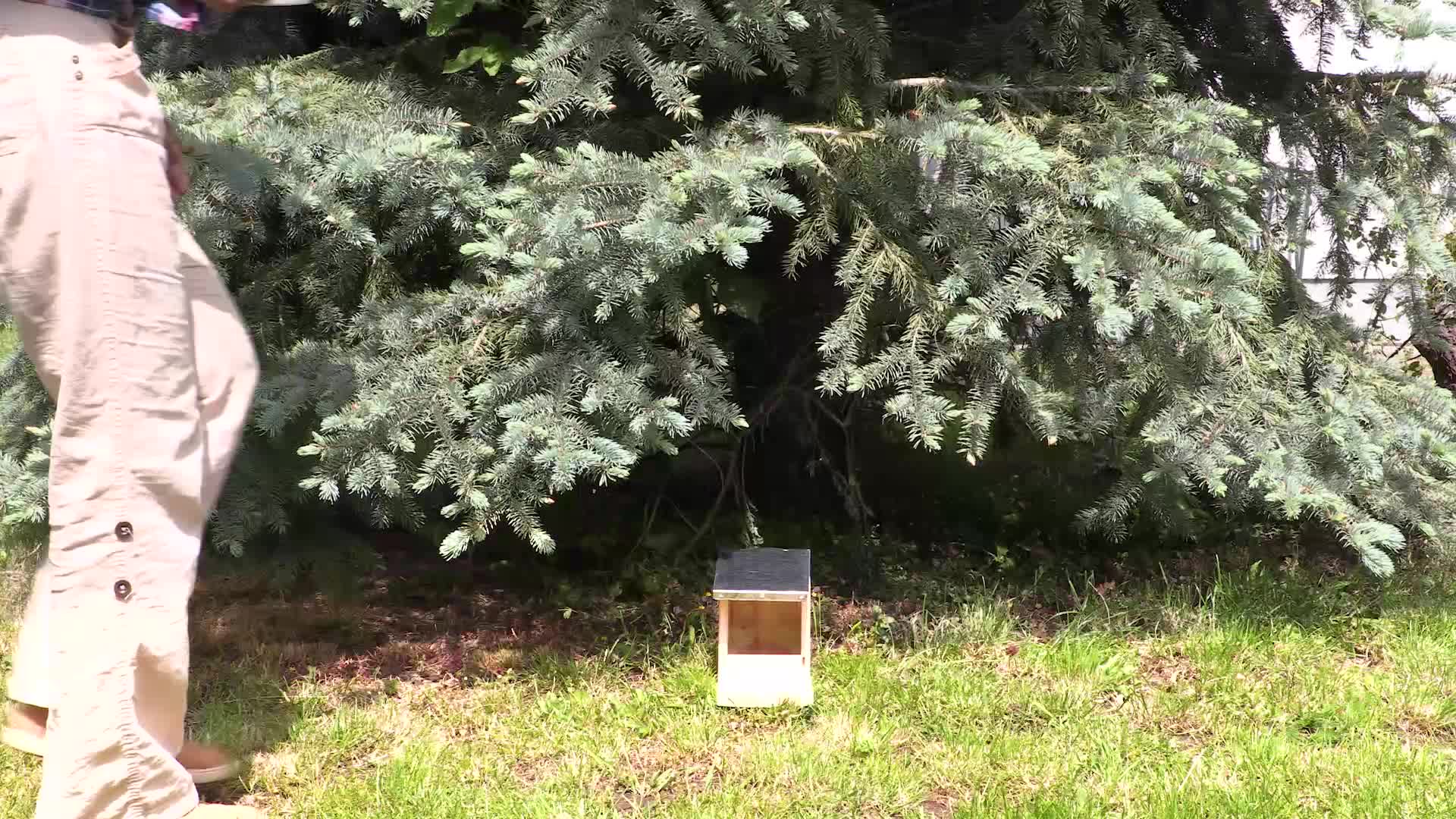 Relaxdays Eichhörnchen Futterhaus, Holz Futterstation, Produktbild-Vorschau 7
