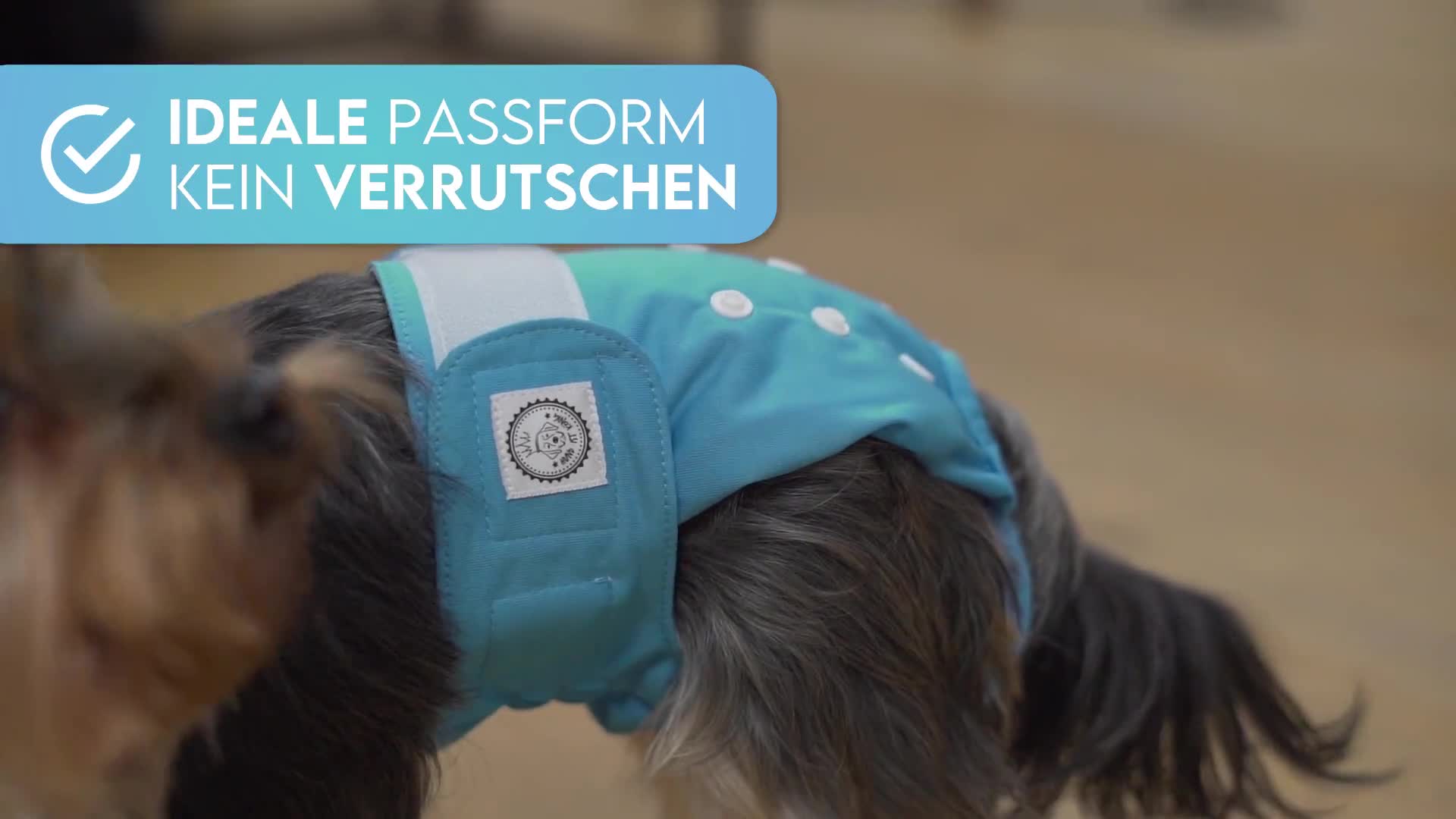 HUND IST KÖNIG Windeln für Hündinnen [3 Stk], M (Taille Produktbild-Vorschau 7