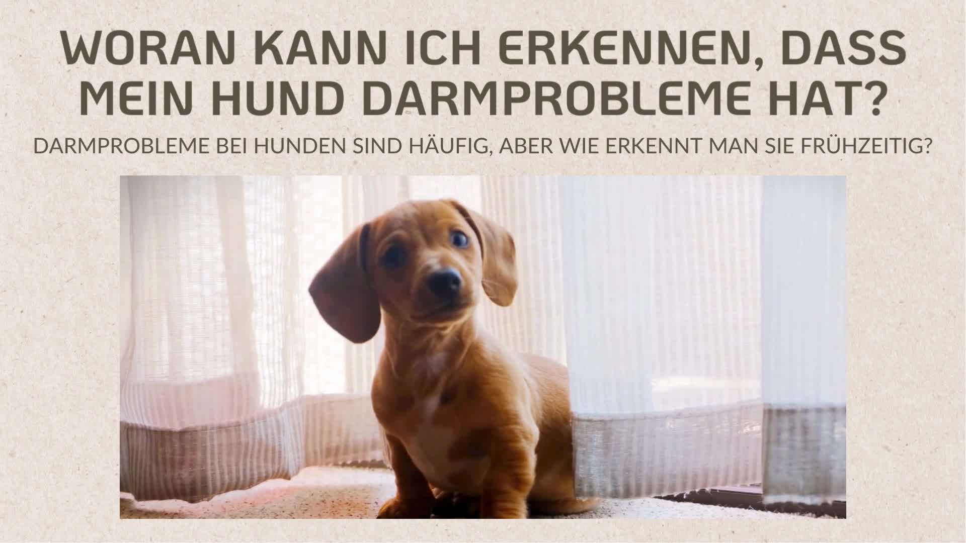 Provicell EM Vital 250 ml | Probiotika Hund | Natürliche Produktbild-Vorschau 7