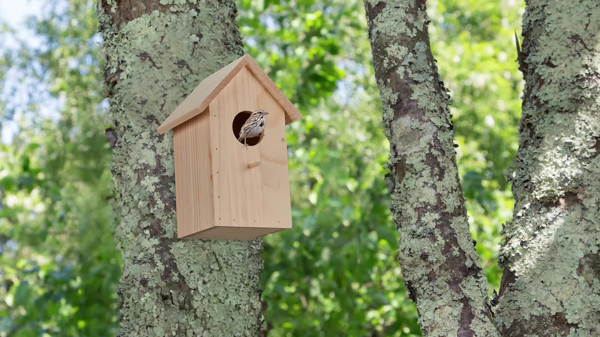 Relaxdays Nistkasten für Kohlmeise & Gartenrotschwanz, Produktbild-Vorschau 7