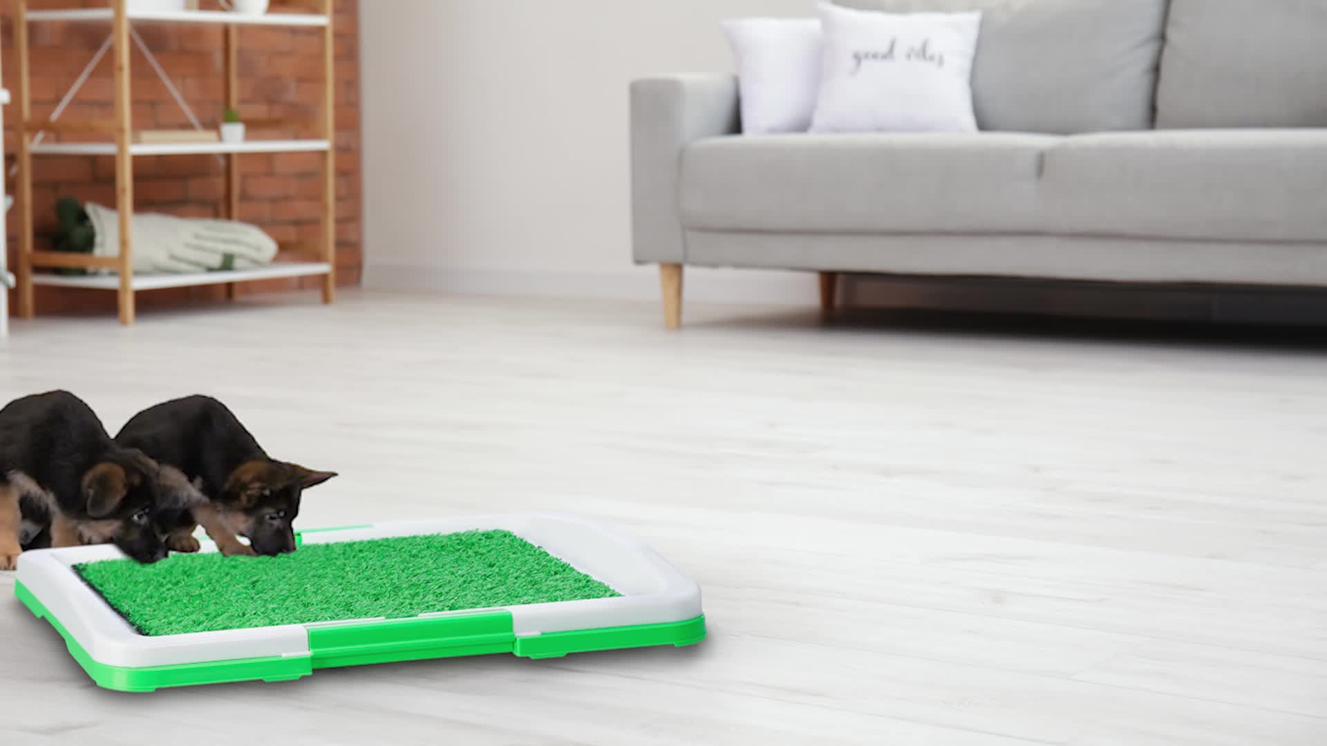 Relaxdays Hundeklo Rasen, Welpentoilette für die Wohnung, Produktbild-Vorschau 7