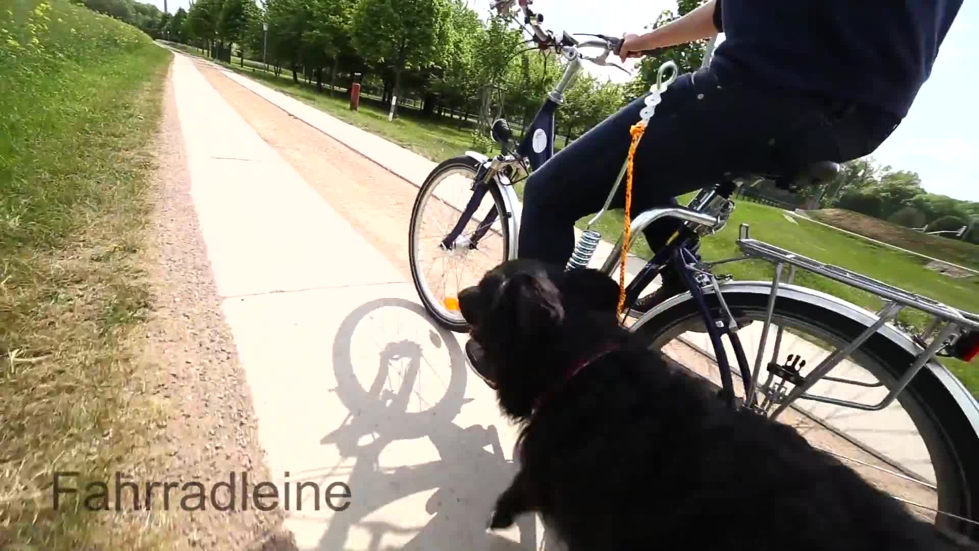 Relaxdays Fahrradleine mit Federpuffer, Abstandhalter, für Produktbild-Vorschau 7