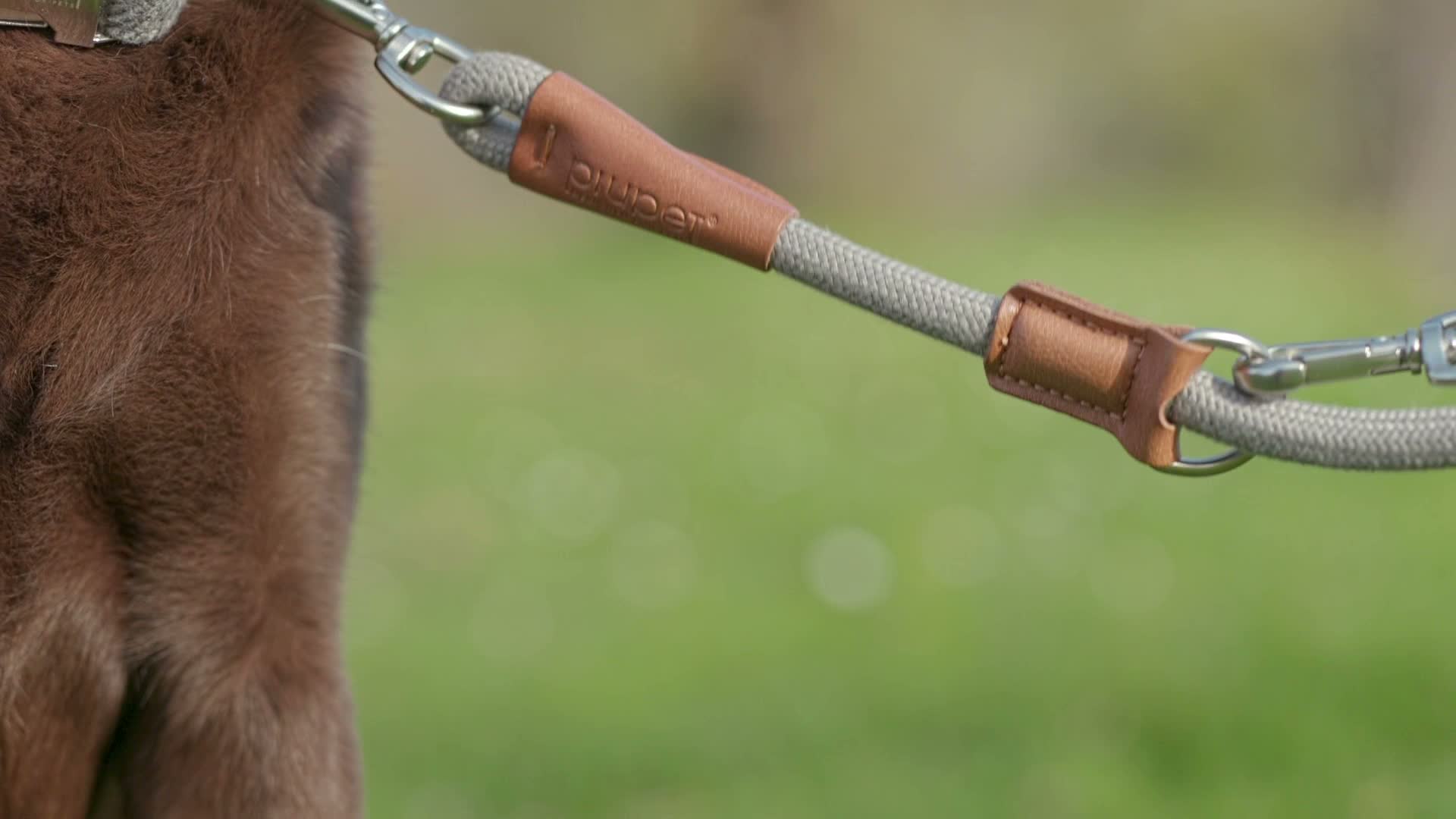 PiuPet® Hundeleine 2m I 3-Fach längenverstellbar I Leine Produktbild-Vorschau 7