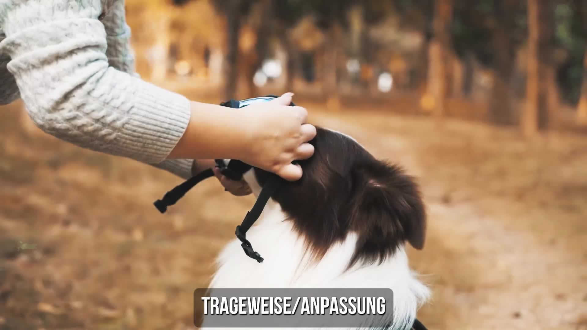 Hundebrille, Sonnenbrille für Hunde Winddicht und Produktbild-Vorschau 7